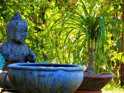 La malle des Indes, vasca da giardino