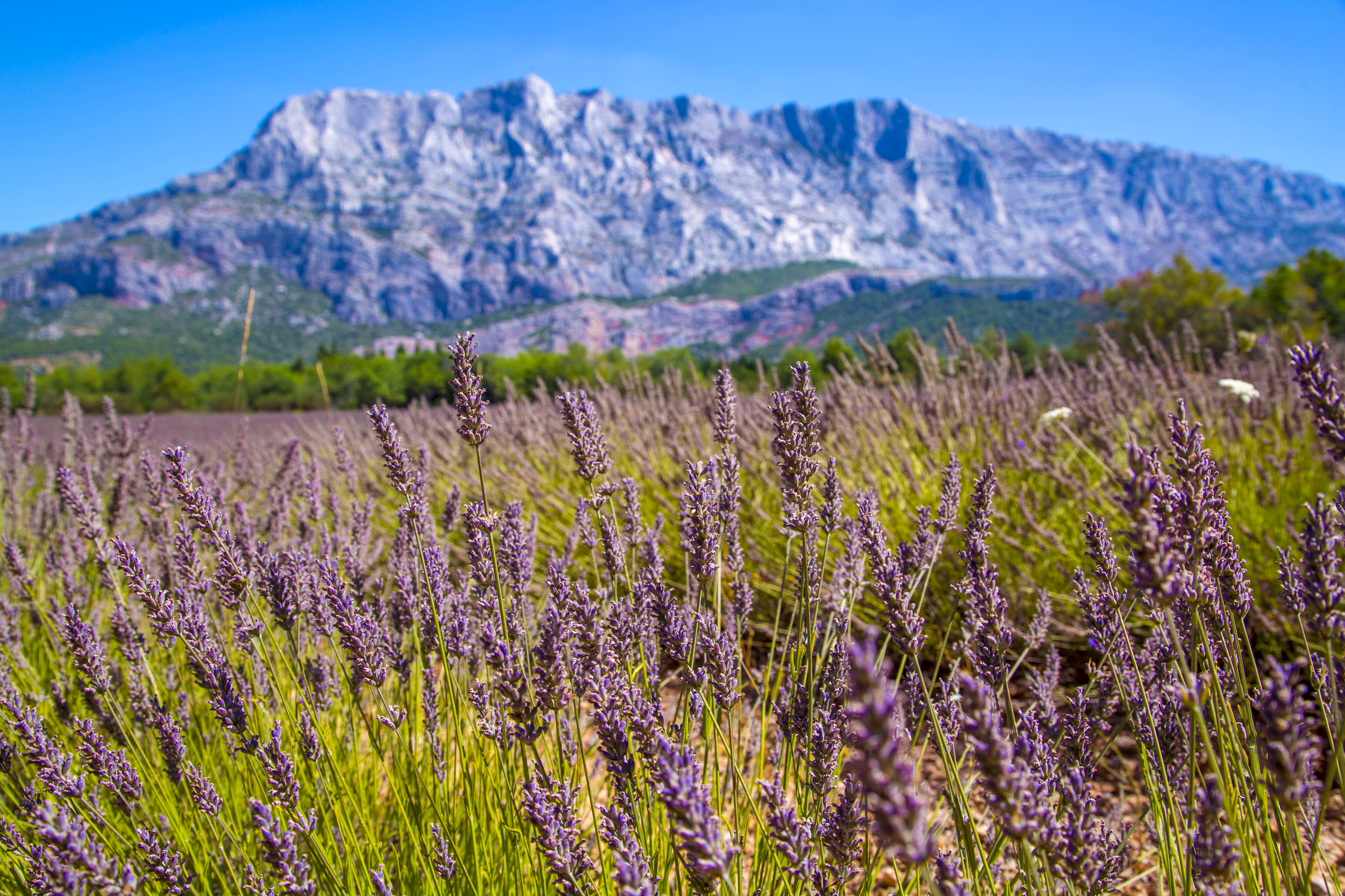 La Montagne Sainte Victoire © S. Spiteri