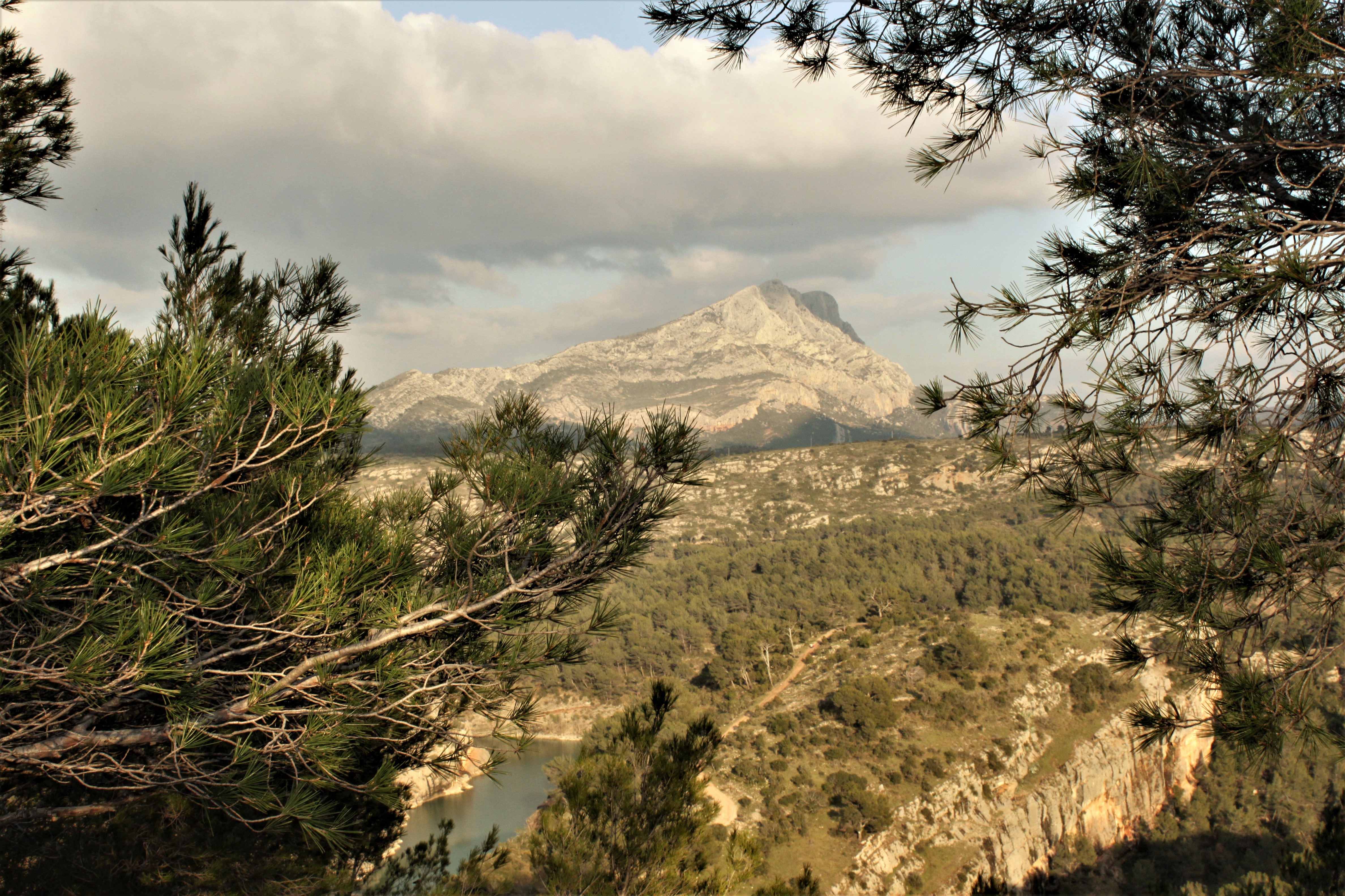 La montagne Sainte-Victoire in lontananza