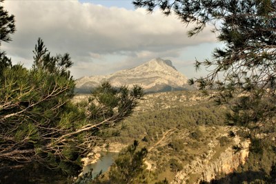 La montagne Sainte-Victoire in lontananza