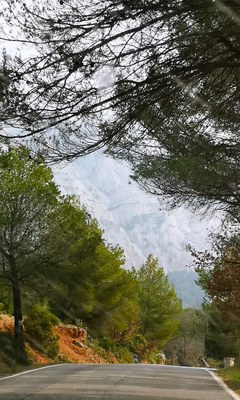 La Route Cezanne, con la Montagne Sainte-Victoire sullo sfondo