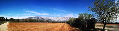 La sainte-Victoire dalla stada per il domaine Terre de Mistral
