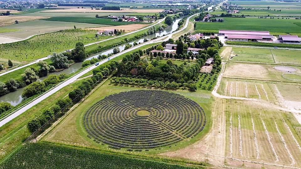 Labirinto di lavanda © Tenuta Va Oltre