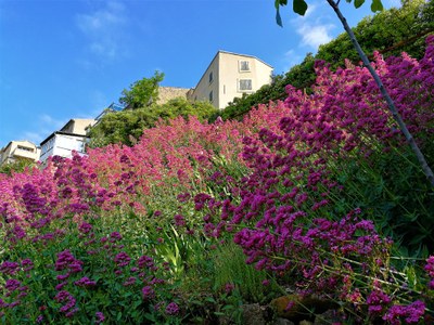 Lauris, Couleur Garance, il giardino, particolare