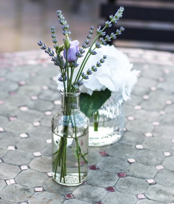 Lavanda e boccioli di rosa