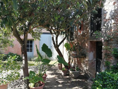 Le Barroux, la Ferme des lamas
