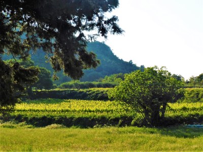 Le Barroux, Mas de la Lause, paesaggio