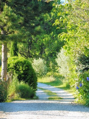 Le Barroux, Mas de la Lause, vialetto d'accesso