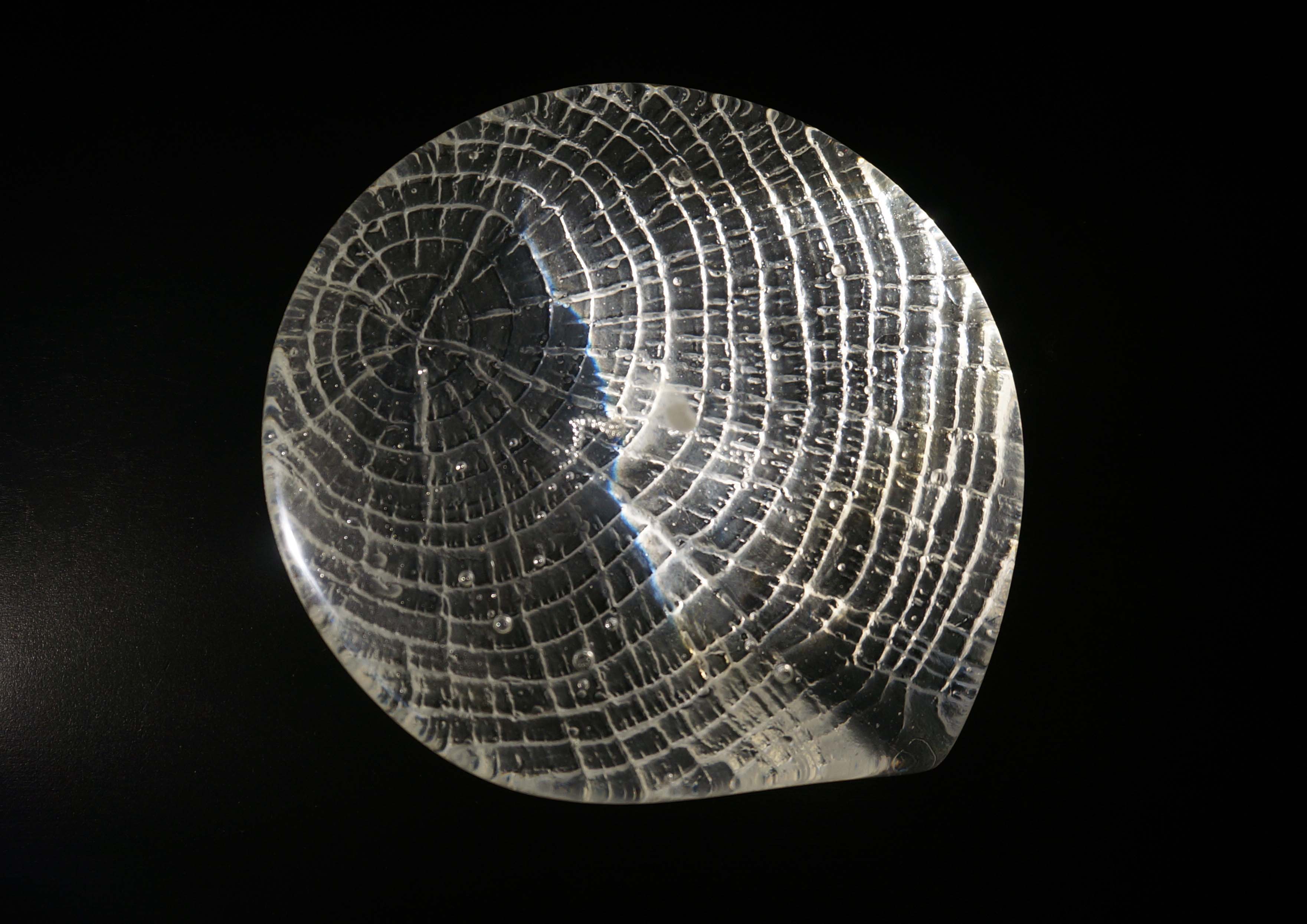 Lentille © Le Goff