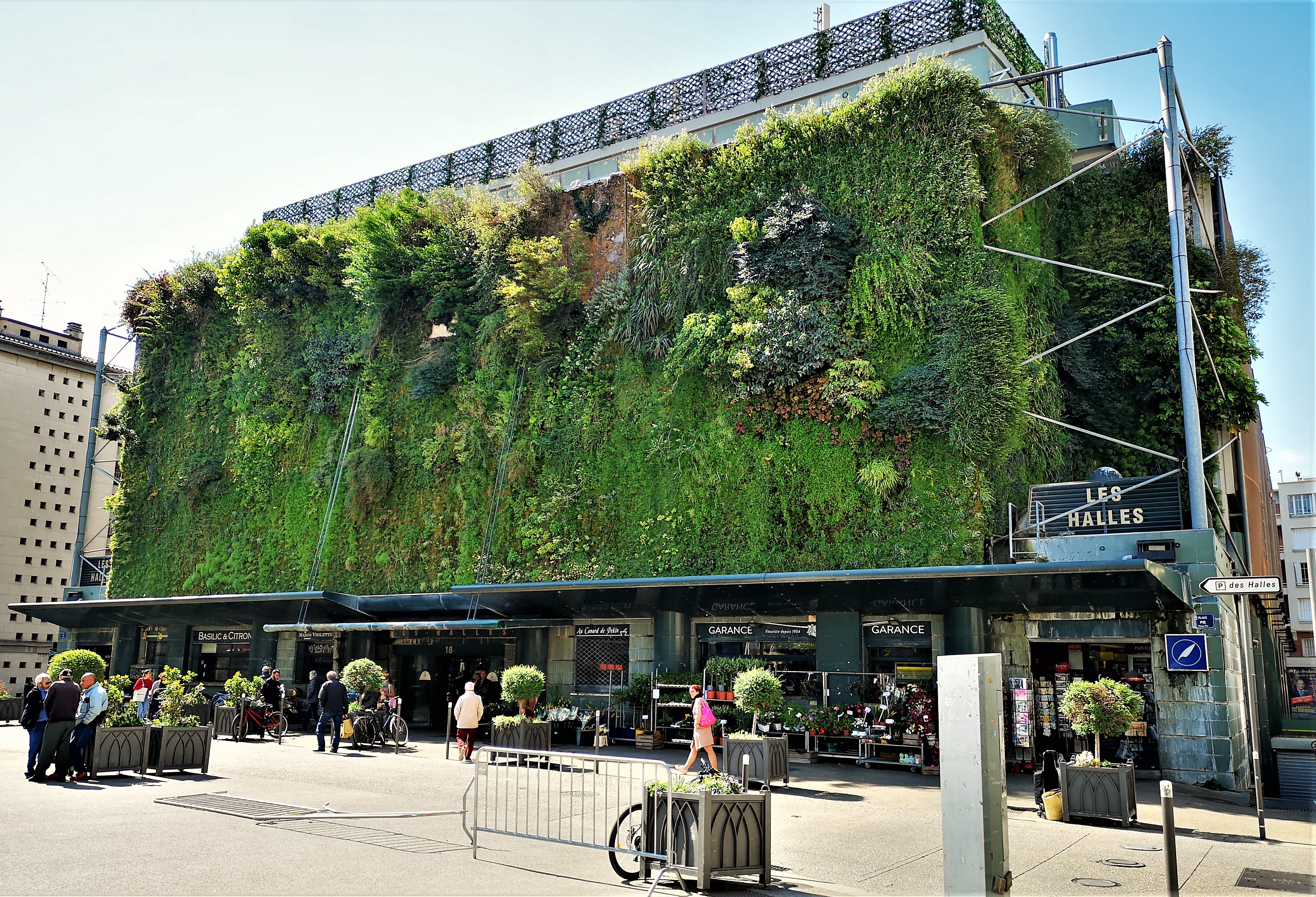 Les Halles, mercato coperto di Avignone