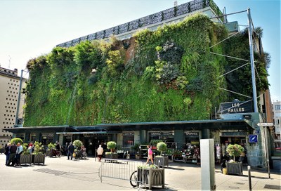 Les Halles, mercato coperto di Avignone