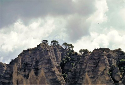 Les Pénitents des Mées, la vegetazione sulle rocce