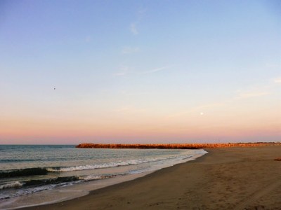 Les Santes-Maries-de-la-Mer, mare all'alba
