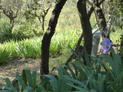 Li Poulidetto - Il giardino