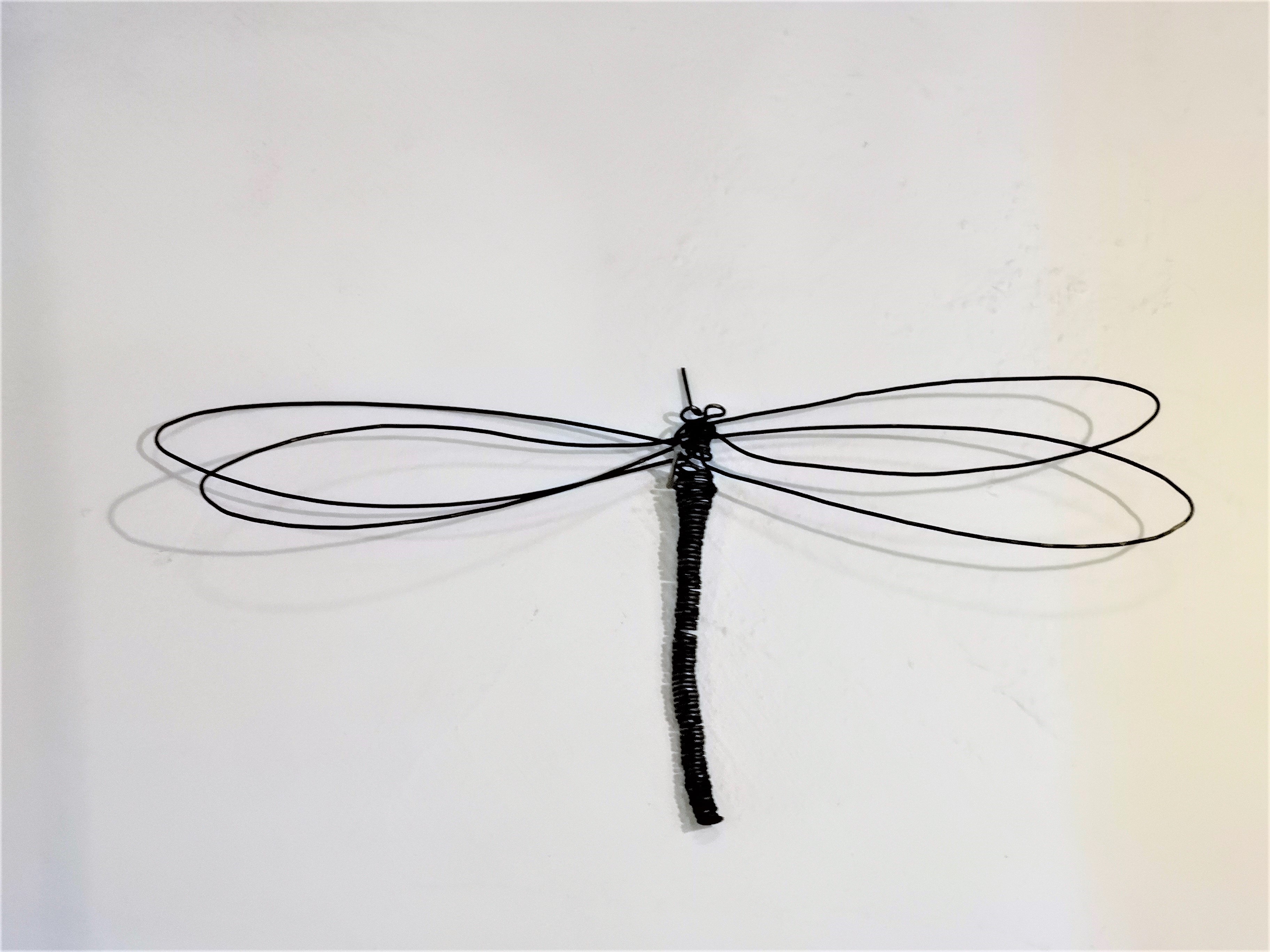 Libellula