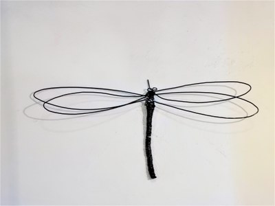 Libellula