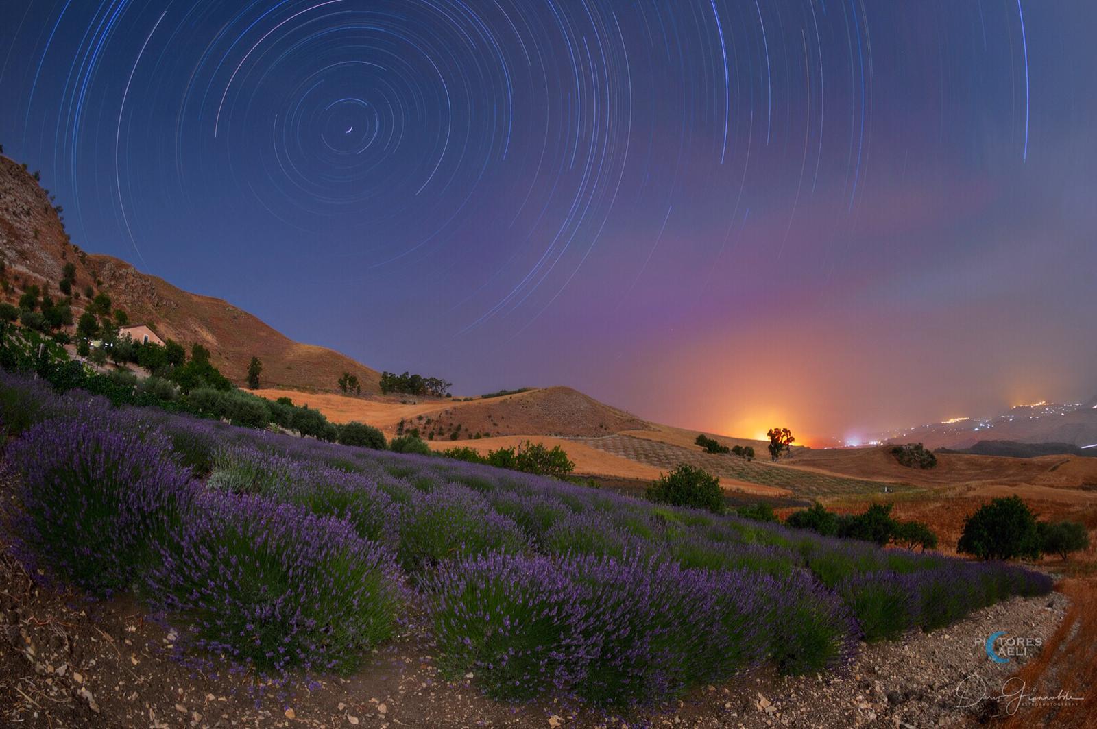 Lo spettacolo della lavanda di notte © Le antiche tradizioni
