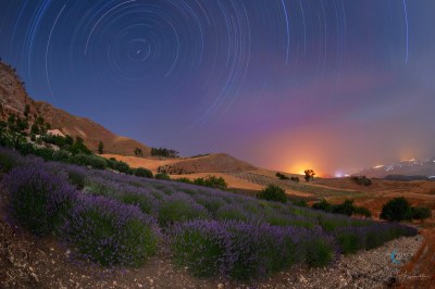 Lo spettacolo della lavanda di notte © Le antiche tradizioni
