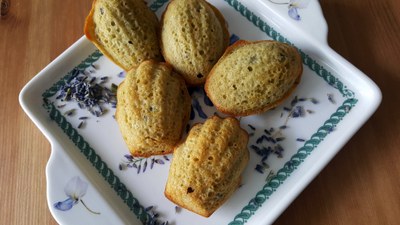 Madeleine alla lavanda, miele e limone