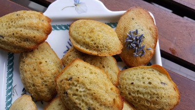 Madeleine alla lavanda