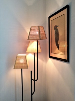 Maison Molière - Luci e ombre
