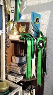 Manade Saliérène, i trofei dei campioni di course camarguaise