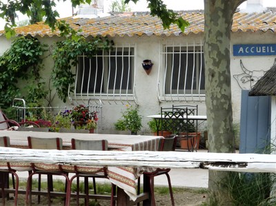 Manade Saliérène, il cortile