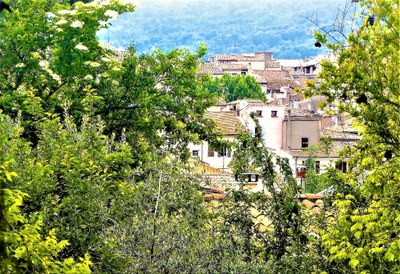 Manosque dalla casa di Jean Giono