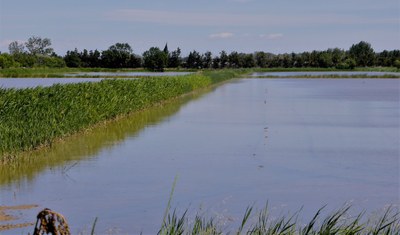 Mas de Valériole - La campagna allagata dalle canalizzazioni idriche
