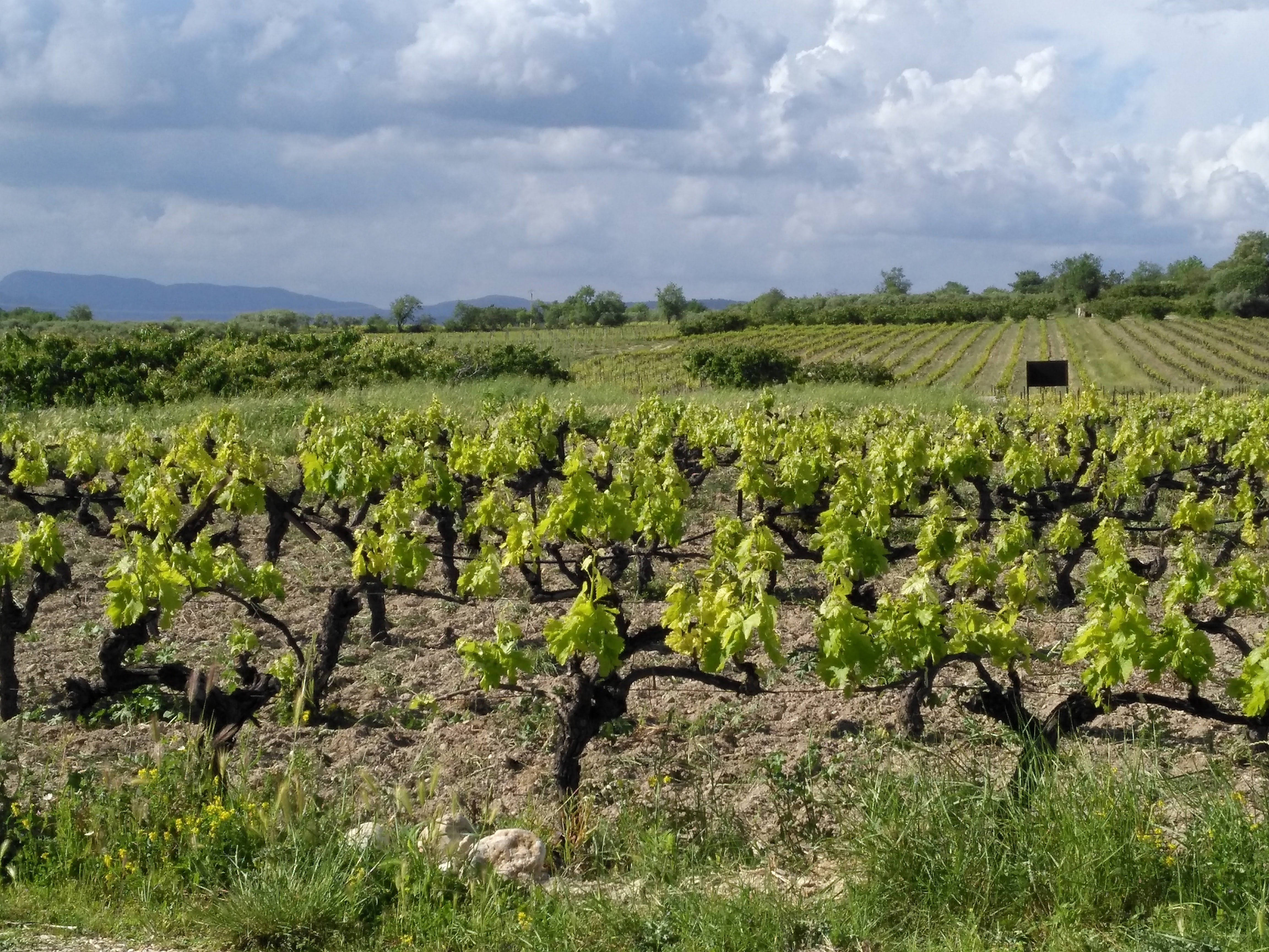 Mazan, Plein Pagnier 10