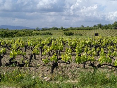 Mazan, Plein Pagnier 10