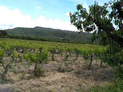 Mazan, Plein Pagnier 4