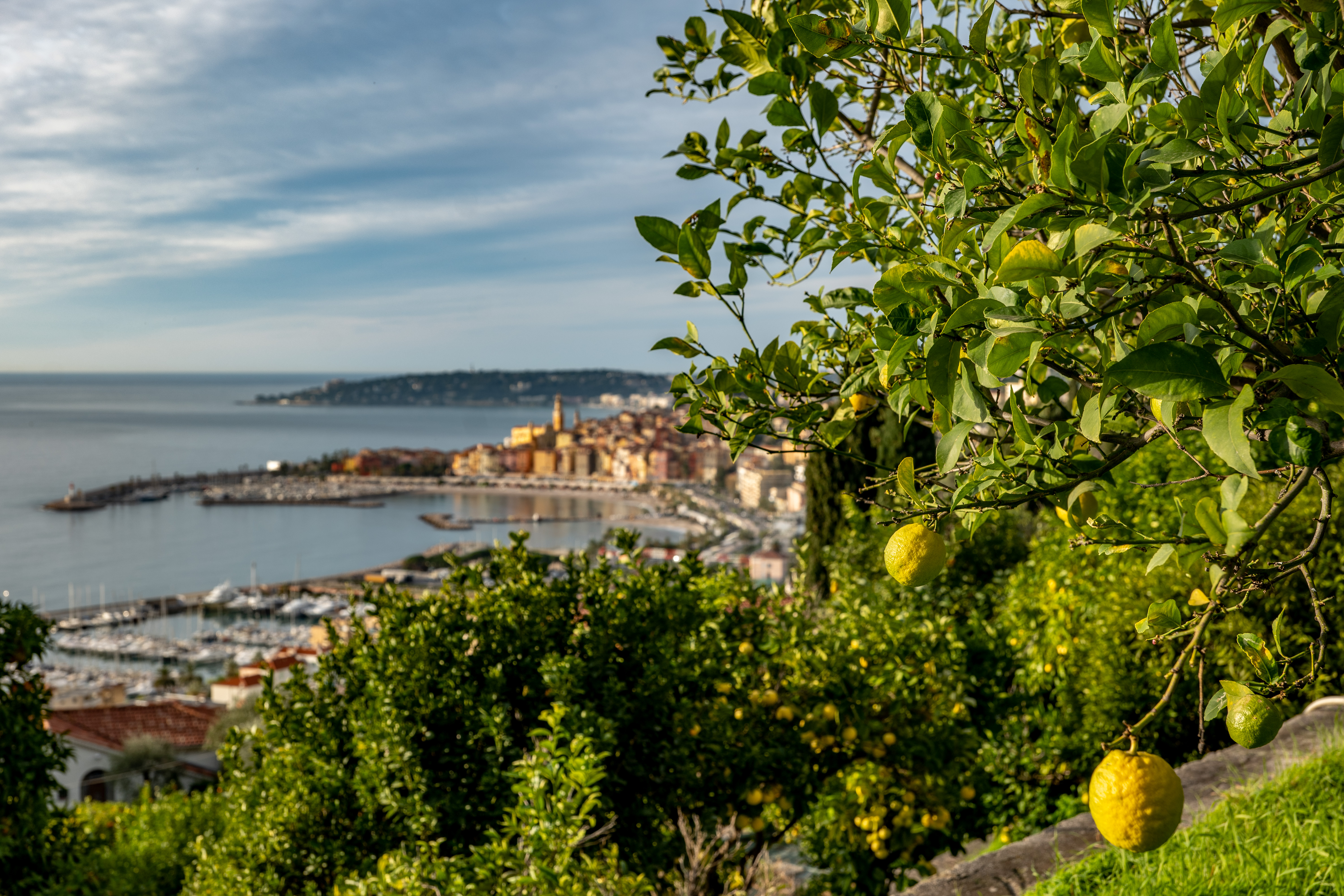 Mentone vista dalla collina - Crédit Ville de Menton