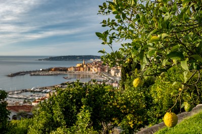 Mentone vista dalla collina - Crédit Ville de Menton