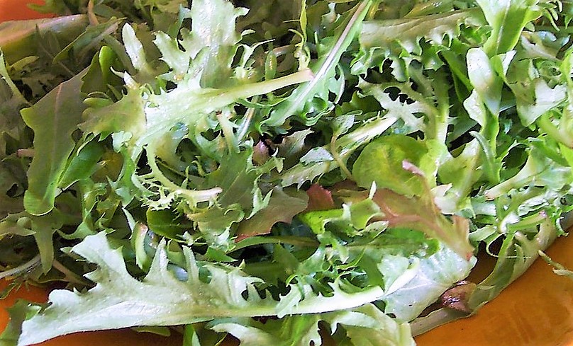 Mesclun