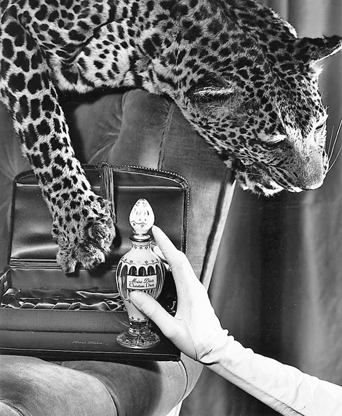 Miss Dior, il profumo dedicato da Christian alla sorella Catherine