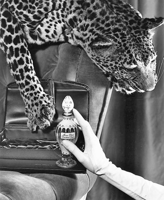 Miss Dior, il profumo dedicato da Christian alla sorella Catherine