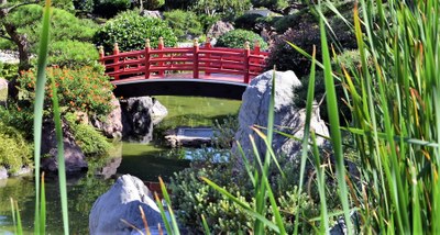 Monaco, il giardino giapponese, particolare © Visit Monaco