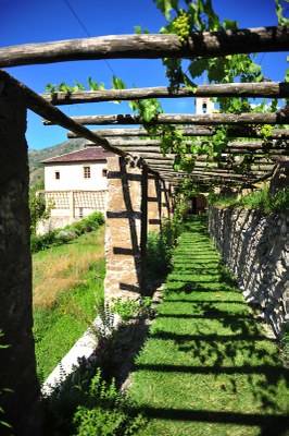 Monastero di Saorge, particolare del giardino