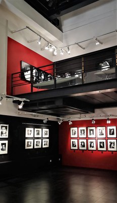 Nizza, Musée de la Photographie, Studio Harcourt - L'Art de la Lumière