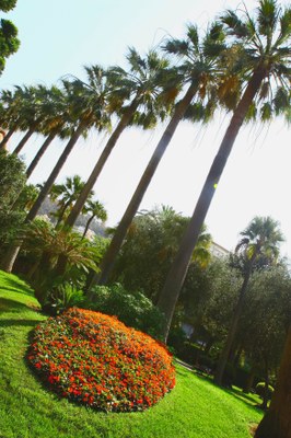 Nizza, parco Vigier - Foto: © OTC Nice