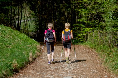Nordik walking