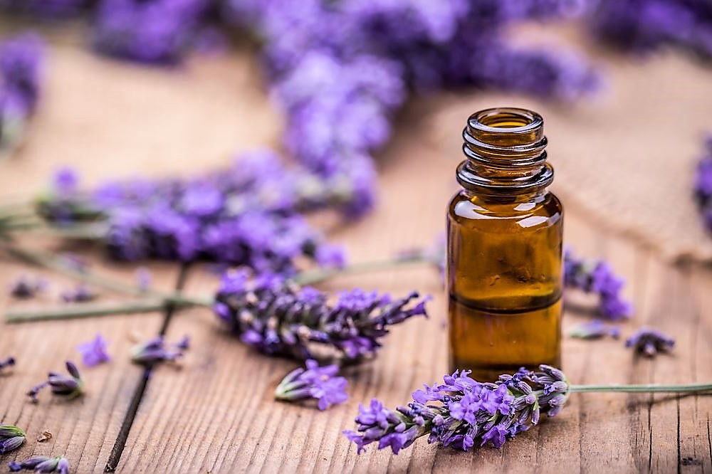 Olio essenziale di lavanda fine