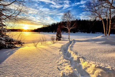 Paesaggio invernale