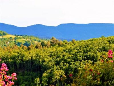 Panorama dall'abbazia di Valsaintes