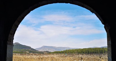 Panorama dallo Château du Barroux.jpeg