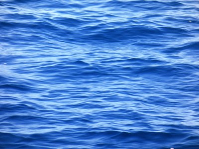 Parco Nazionale di Port-Cros, il mare sul fondale di posidonia
