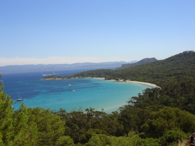 Porquerolles, dove è ambientato Il mio amico Maigret - Foto : © Wikipedia