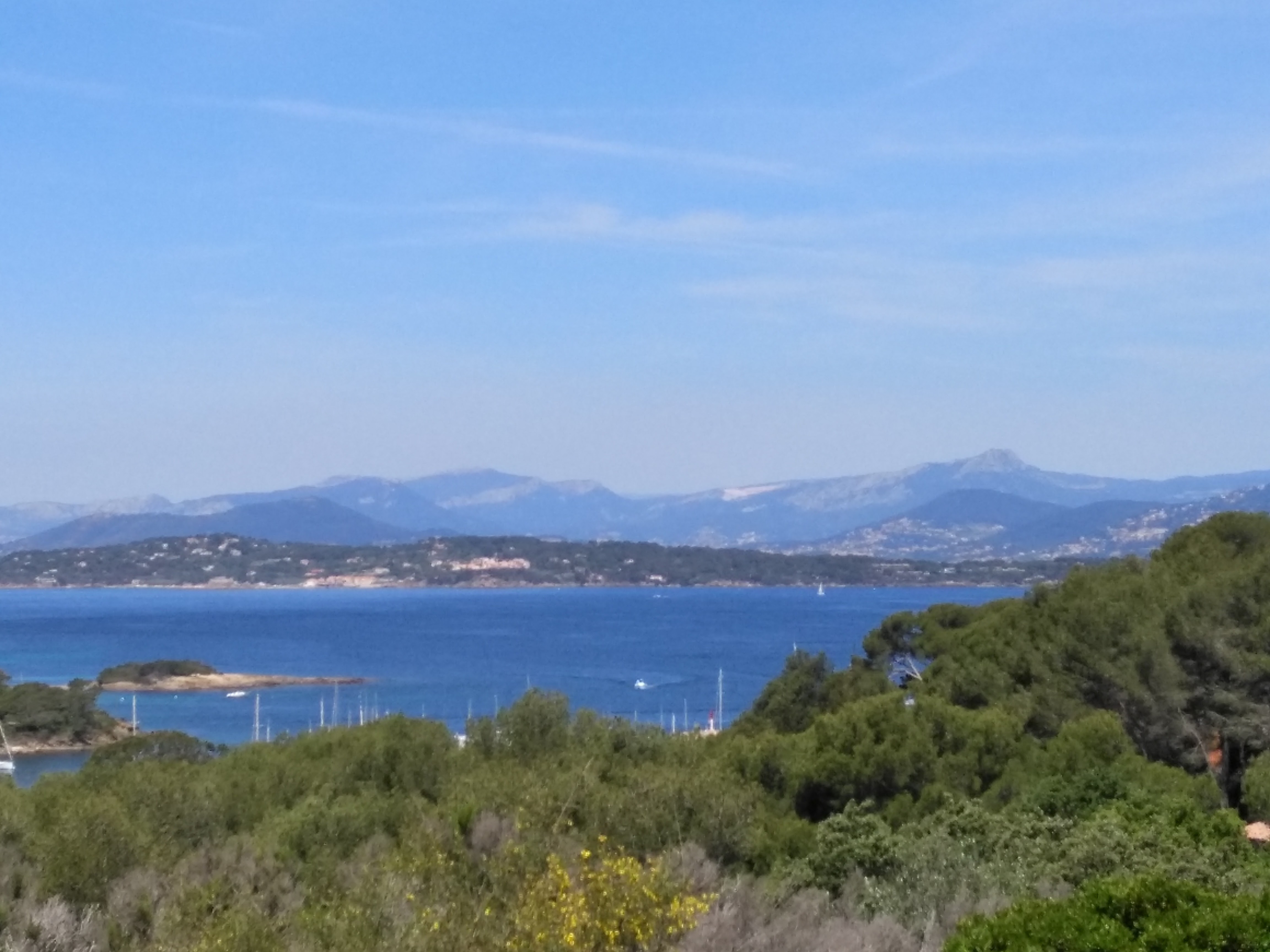 Porquerolles, isola dai profumi selvatici