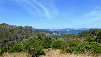 Porquerolles, isola di profumi